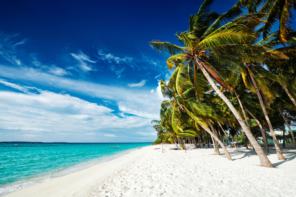 Photo of white sandy beaches, dense palms, and bright blue waters in Conzumel