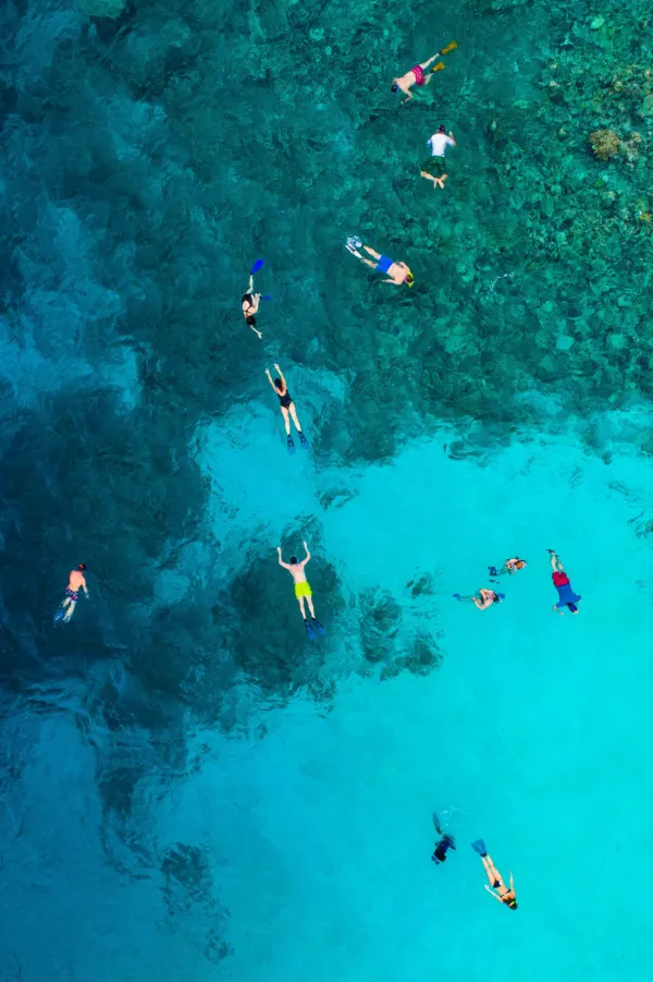 Aerial view of multiple snorkelers in bright blue tropical waters