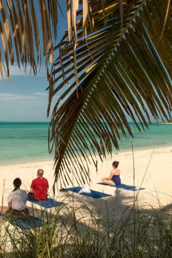 A small group of people are seen practicing yoga, framed by palm trees and turquoise ocean