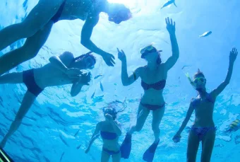 A group of swimming guests snorkels in warm blue waters